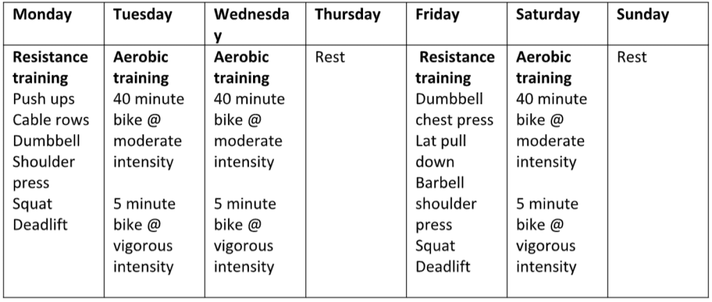 Example Exercise Plan